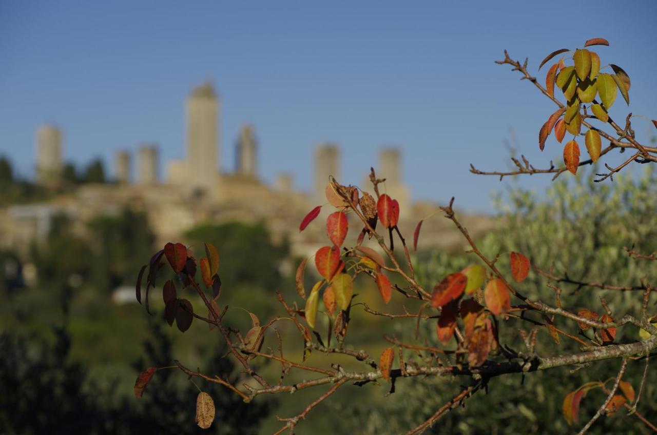 Il Borgo Antico Apartman San Gimignano Szoba fotó